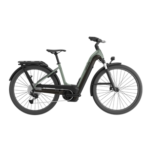 Cannondale Tesoro Neo X 1