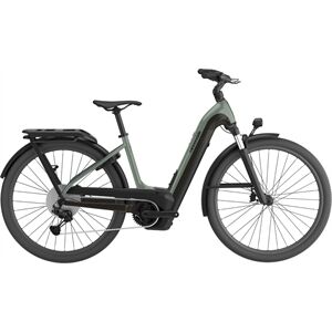 Cannondale Tesoro Neo X 1