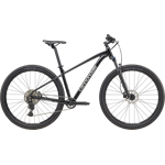 Cannondale Trail 2