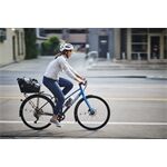 Trek Fender Trek Powerfly 29 2020 Black Rear