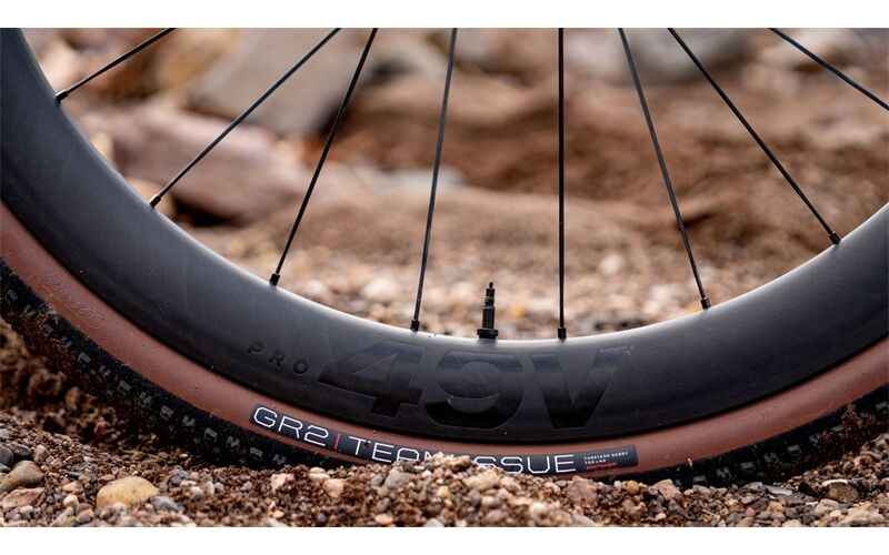 Bontrager Hinterrad Aeolus Pro 49V Disc TLR 142