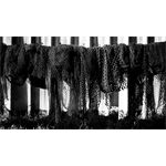 Bontrager Elite Recycled Flaschenhalter