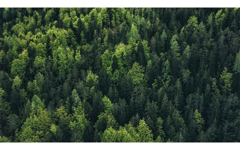 Trek Elite Recycled Flaschenhalter