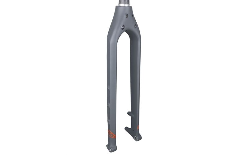 Trek Starrgabel 1120 29 Carbon Disc Boost 110X15 C