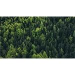 Trek Right Side Load Recycled Flaschenhalter