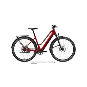 Simplon Silkcarbon TQ, Enviolo HD Gates