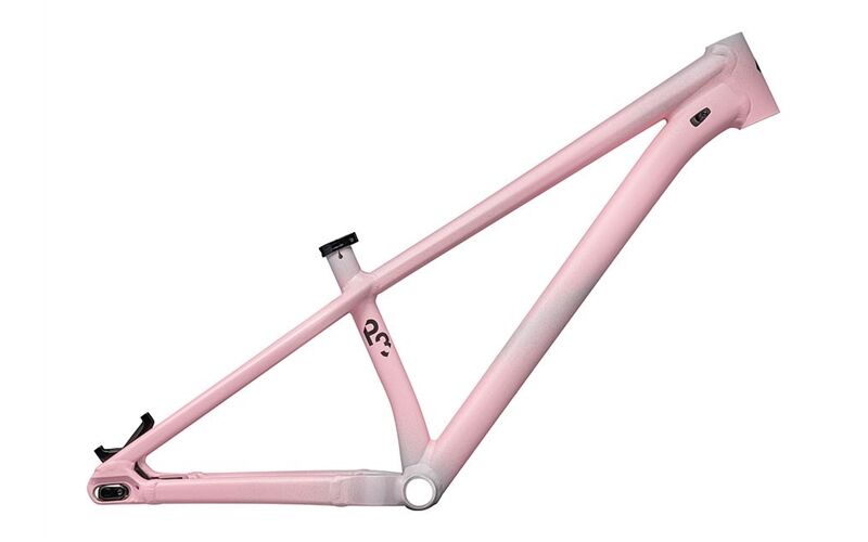 Specialized P.3 FRAME