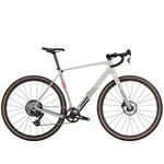 Trek Checkpoint SL 6 AXS Gen 3