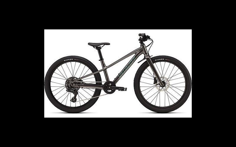 Specialized RIPROCK 24 INT