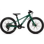 Specialized RIPROCK 20 INT