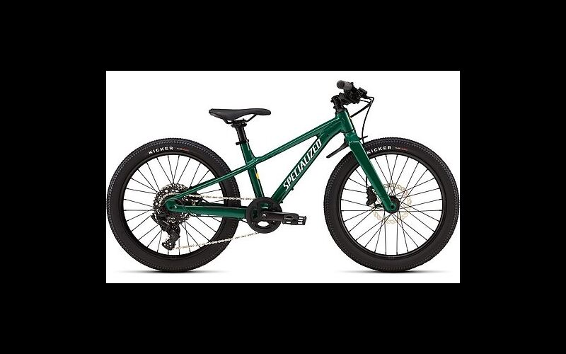 Specialized RIPROCK 20 INT