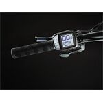 Trek Rail 5 625Wh