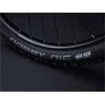 Trek Rail 5 625Wh
