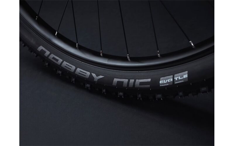 Trek Rail 5 625Wh
