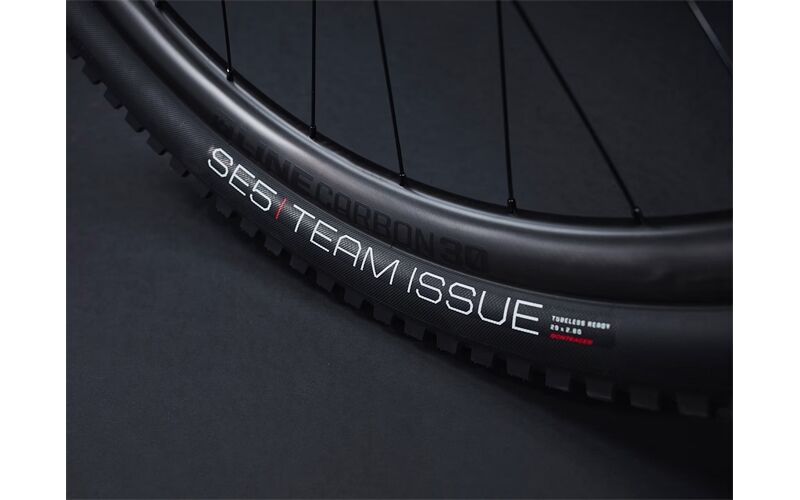 Trek Rail 9.9