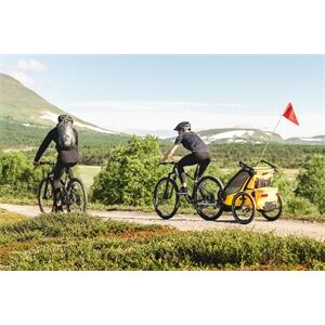 Thule Chariot Sport2