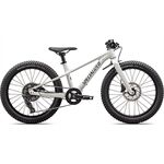 Specialized RIPROCK 20 INT