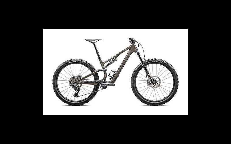 Specialized Stumpjumper 15 EXPERT
