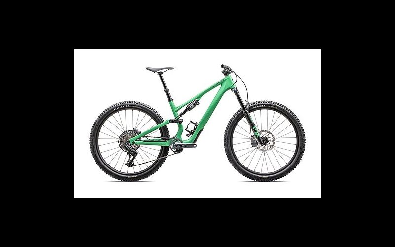 Specialized Stumpjumper 15 EXPERT