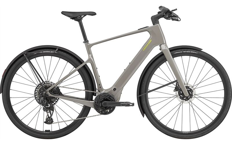 Cannondale Tesoro Neo Carbon 1