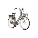 Gazelle Miss Grace C7+ Gazelle Miss Grace C7+