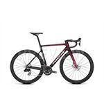 Focus IZALCO MAX 8.9