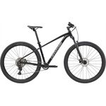 Cannondale Trail 2