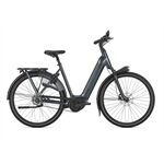 Gazelle Arroyo C5 Elite + HMB R5S 600WH 600 Wh