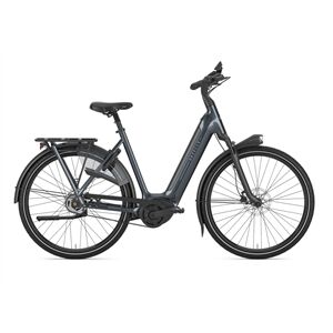 Gazelle Arroyo C5 Elite + HMB R5S 600 Wh