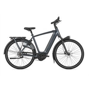 Gazelle Arroyo C5 Elite 600 Wh