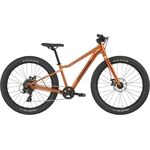 Cannondale Kids Trail Plus 24