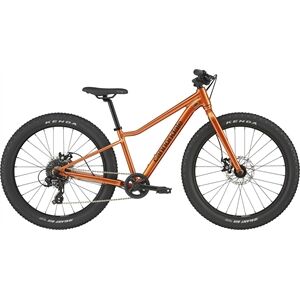 Cannondale Kids Trail Plus 24