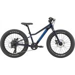 Cannondale Kids Trail Plus 20 Cannondale Kids Trail Plus 20