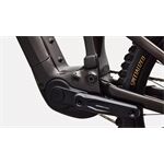 Specialized Levo 4 EVO Comp