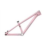 Specialized P.3 FRAME Specialized P.3 FRAME