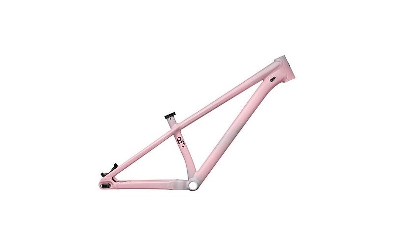 Specialized P.3 FRAME